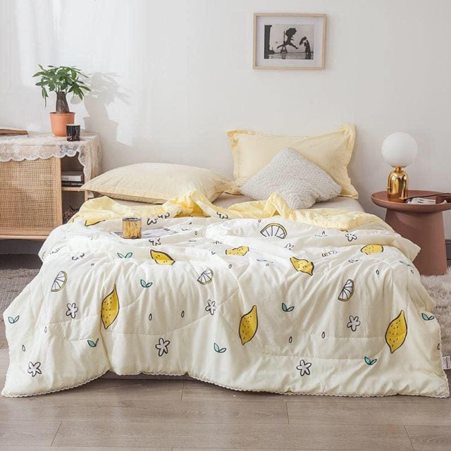 Chăn hè nhập khẩu vải cotton đũi cực mềm mát