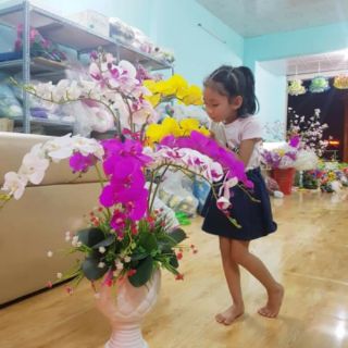 lá lan giả đẹp 30k/1 cụm