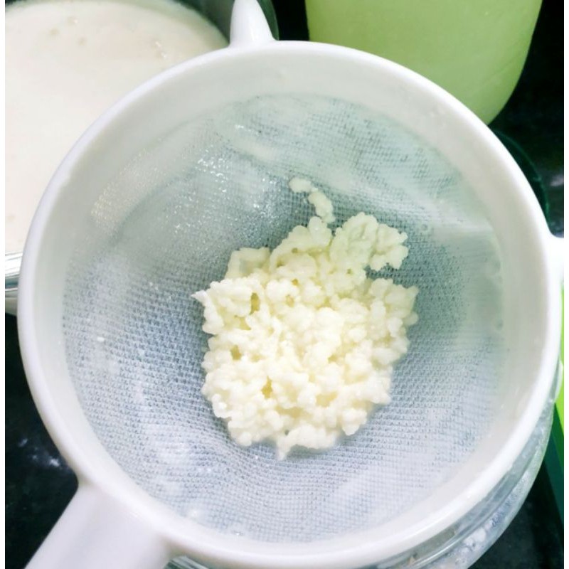 💢SG-Bộ rây nhựa lọc nấm Kefir 4 cái, 1 cái