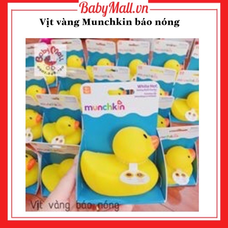 VỊT VÀNG BÁO NÓNG MUNCHKIN