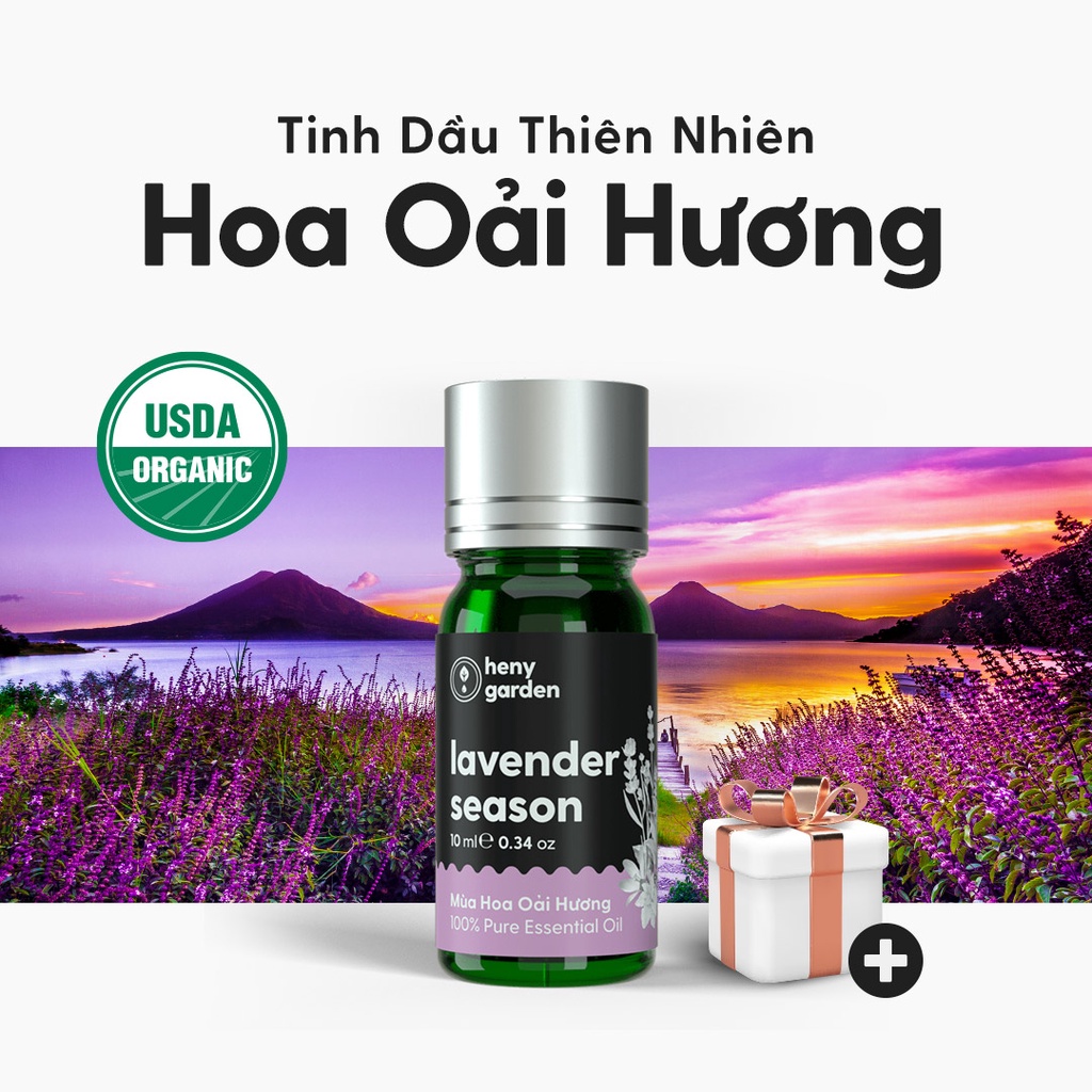 Tinh Dầu Oải Hương Lavender Organic Thiên Nhiên Nguyên Chất Đậm Đặc Xông Thơm Phòng, Làm Nến Thơm HENY GARDEN