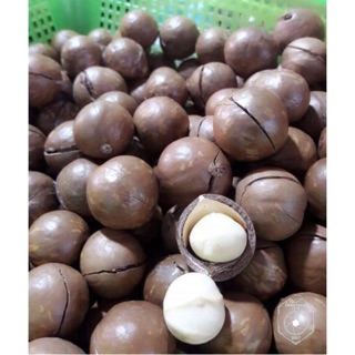 Macca khô sấy giòn tây bắc