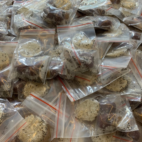 [Dùng Thử ]Set tổ yến sào mini - yensaocaocaplamnest