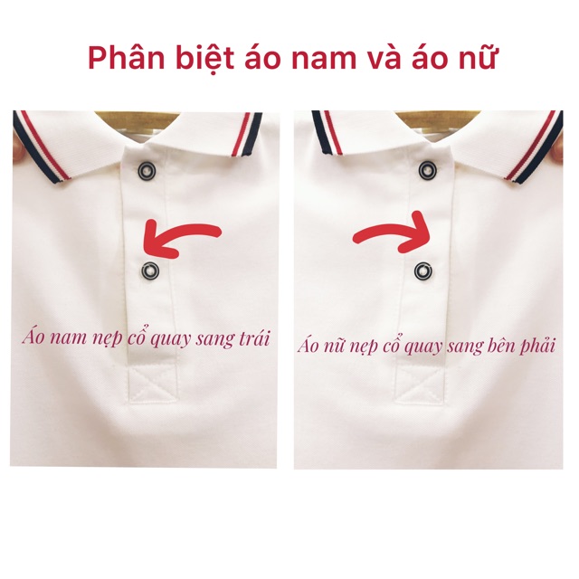 Áo thun chất cá sấu tay, cổ viền