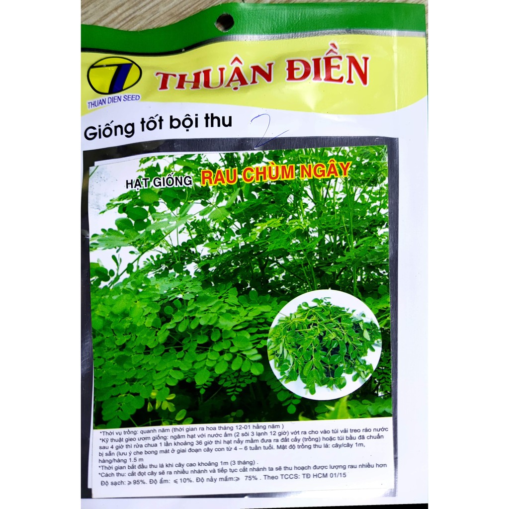 hạt giống rau chùm ngây ( 2 gram)