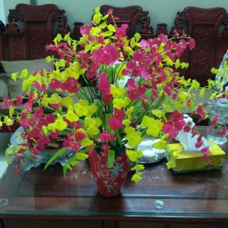 Combo 6 bộ lộn xộn