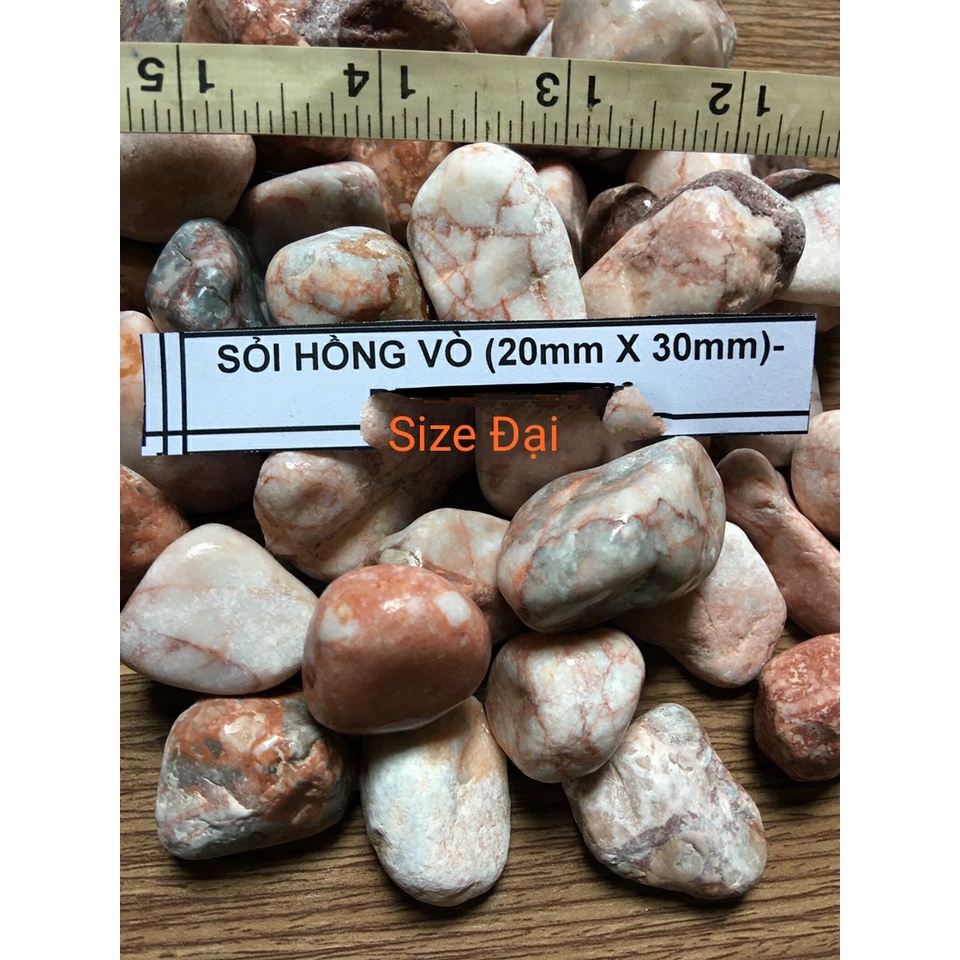 1kg Sỏi Hồng Trang Trí Hồ Cá, Chậu Cây, Sân Vườn...
