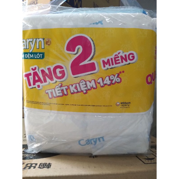 Tấm lót Caryn size XL 14 miếng 60x70cm