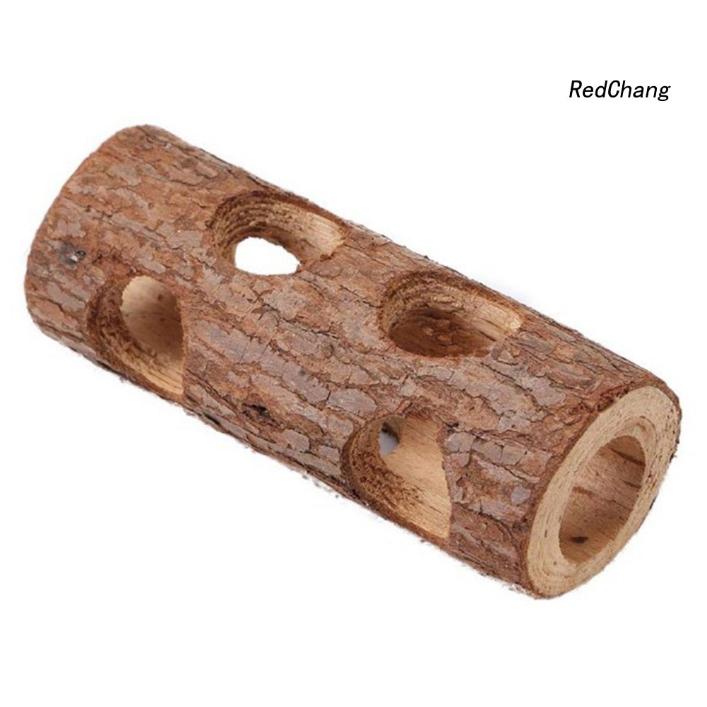 Đường hầm đồ chơi thú vị cho chuột hamster
