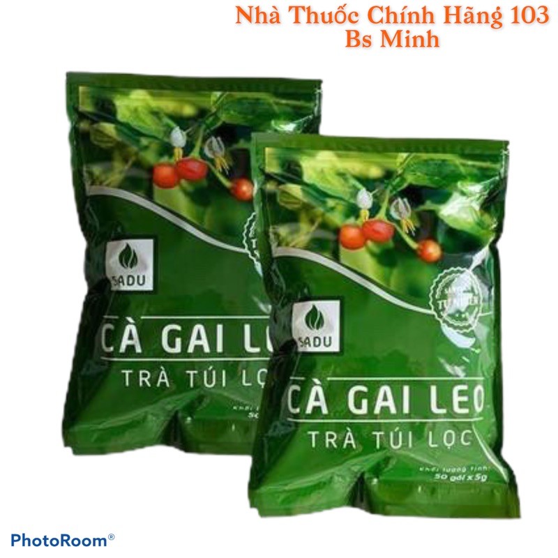 Trà cà gai leo túi 250gr