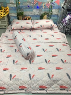 TRỌN BỘ DRAP MỀN COTTON POLLY