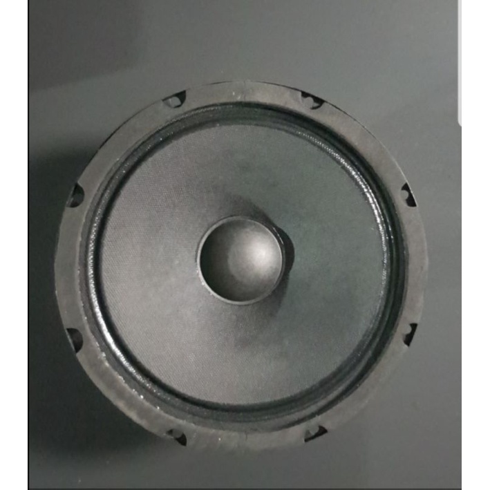 Loa Trung 20