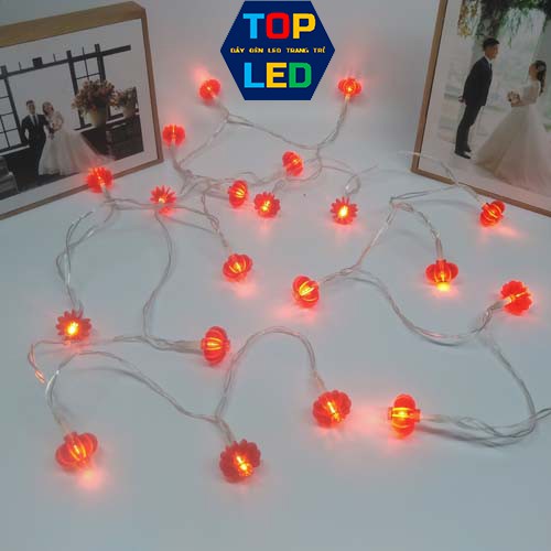 Dây đèn led trang trí đèn lồng đỏ dài 2 mét 10 bóng kháng nước dễ sử dụng giá rẻ TOPLED TL004