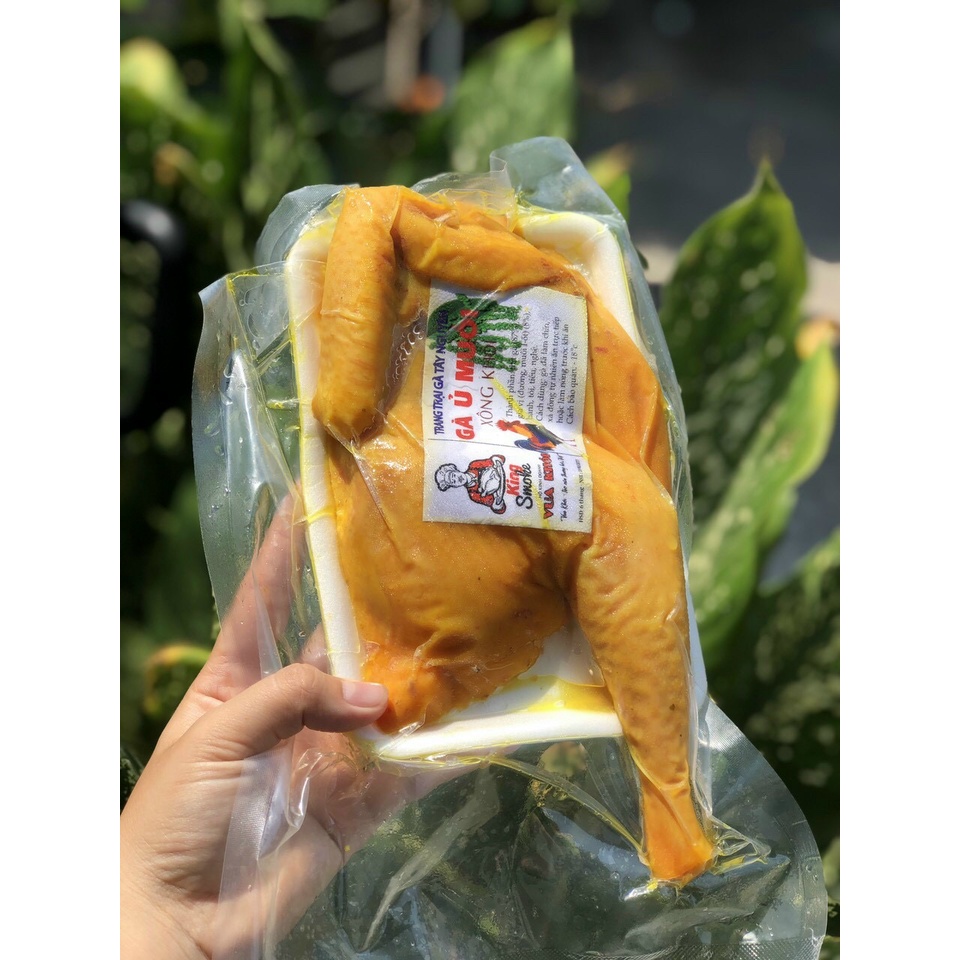 Gà ta ủ muối hoa tiêu vỉ nữa con
