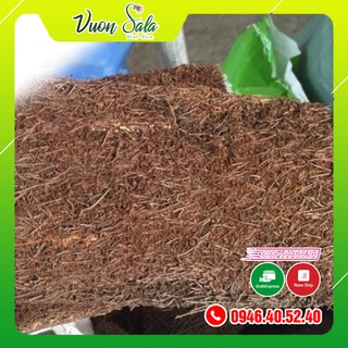 Dớn bảng trồng lan (kích thước 15*40)