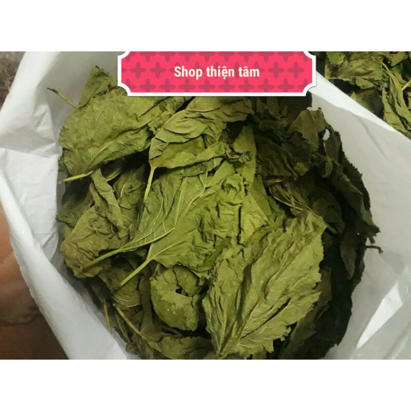 Lá Dâu Mệ non dày rất to bằng bàn tay xòe 019