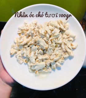 Óc chó tươi Lai Châu