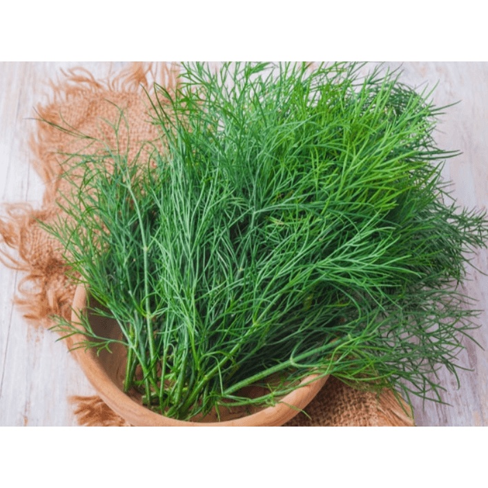 Hạt Giống Rau Thì Là 5gr