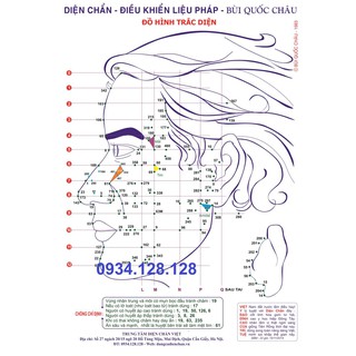 Tờ huyệt A3 in màu Diện Chẩn
