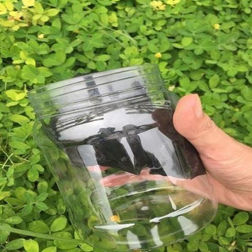 Keo bẫy chim siêu dính giá, chuyên quấn vào sào, vào que- chuyencacloailuoichim
