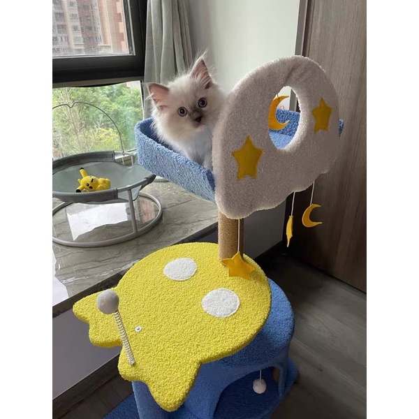 Cattree chonlder Xanh Navy siêu đẹp💙 Hình ảnh thật sản phẩm do khách hàng cung cấp💙