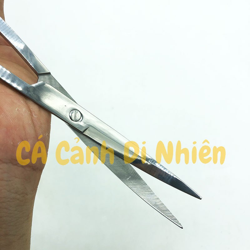 Kéo Cong chữ S cắt tỉa cây thủy sinh bằng thép size 25 cm