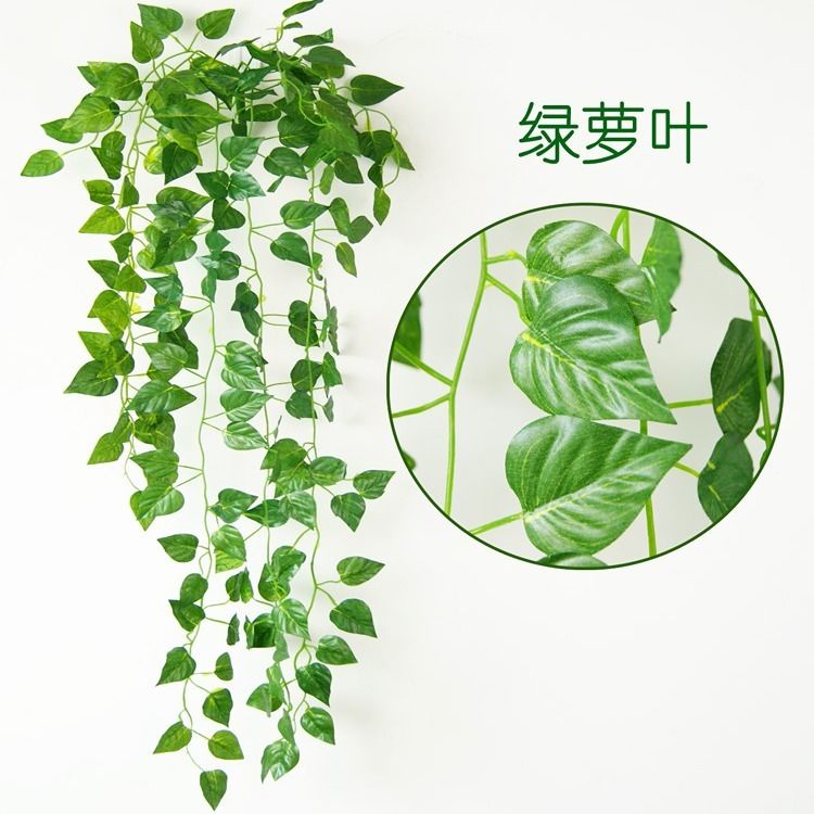 Dây Hoa Lan Giả Bằng Nhựa Treo Tường Trang Trí