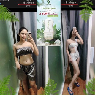 Cao lá rừng
