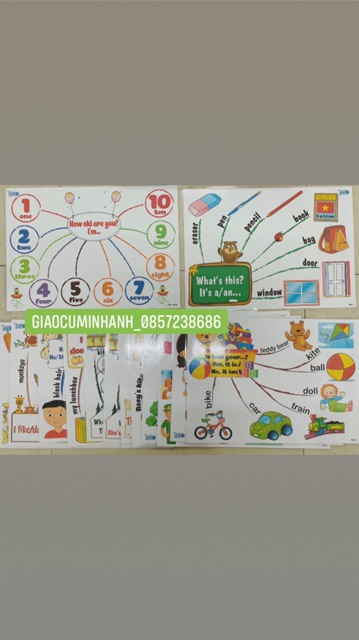 Mindmap luyện thuyết trình Family and friends Special Edition Level 2 (Size A3 ép plastics)