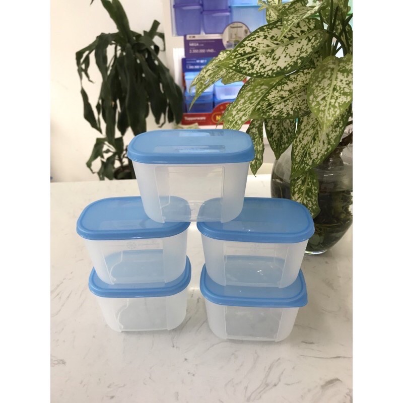 Tupperware Hộp trữ đông Freezermate mini 290ml | BigBuy360 - bigbuy360.vn