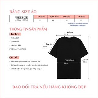 Áo Thun Trơn - 21 Màu - Unisex 🌸[ FREESIZE 75KG ]