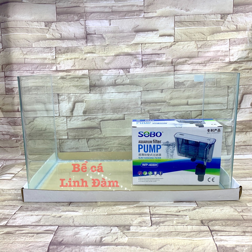 Bể Cá Chữ Nhật 50cm Kính Đúc Bo Góc Đẹp - Bể Cá Mini Dài 50cm