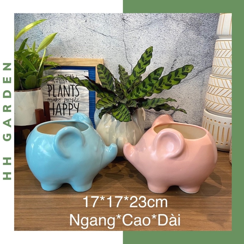 Chậu con voi cỡ lớn 17*17*23cm, chậu trồng cây hình thú decor trang trí nội thất