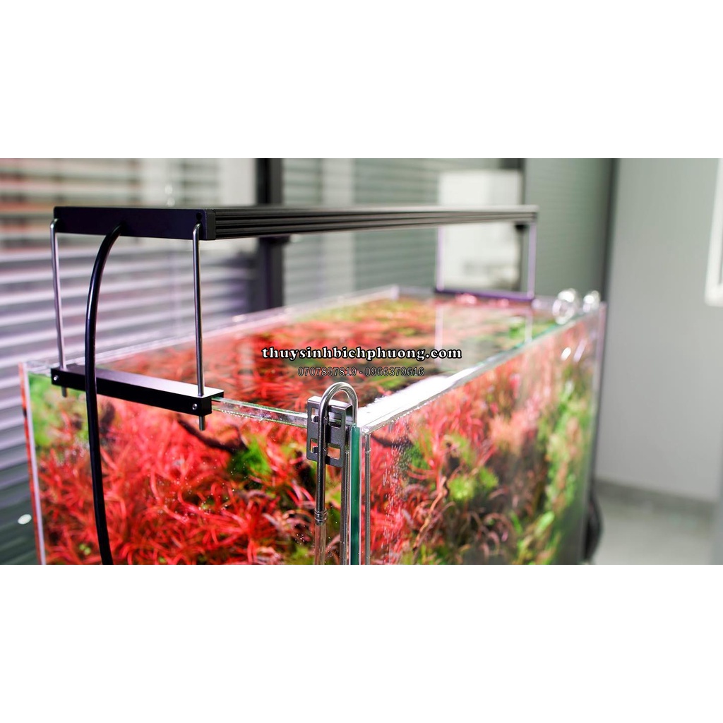 ĐÈN LED CHIHIROS WRGB2 PRO - ÁNH SÁNG SIÊU ĐẸP CHUYÊN TRỒNG CÂY THỦY SINH