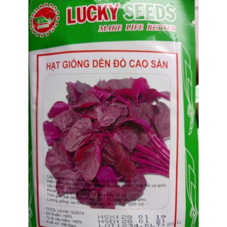 RAU DỀN ĐỎ CAO SẢN