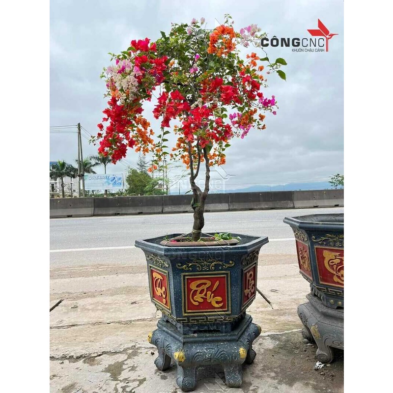Khuôn Chậu Cảnh ABS Lục Giác 60 Hoa Sen, Phúc Lộc Thọ, Cá chép - Tài Lộc + Khuôn Chân Đôn Kỷ 60 - LG60