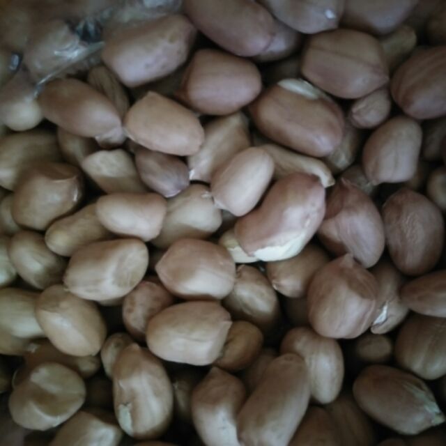 Lạc quê (đậu phộng quê)