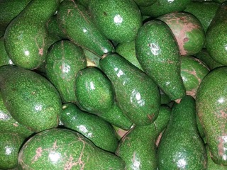 Tinh dầu bơ (nhà làm)