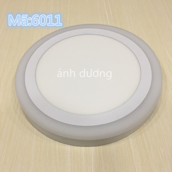Đèn led ốp nổi viền màu 12+4w đèn trần Dowlight