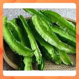 HẠT GIỐNG ĐẬU RỒNG THƯỢNG HẢI NP11