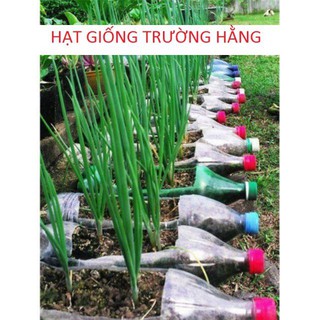 Hạt giống Hành lá 50 hạt
