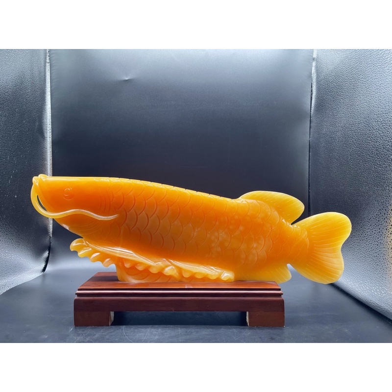 Cá Rồng Đá Ngọc Hoàng Long Phong Thuỷ