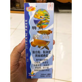 🐠 CÁ RỒNG CHAI SỐ 4 OCEAN FREE