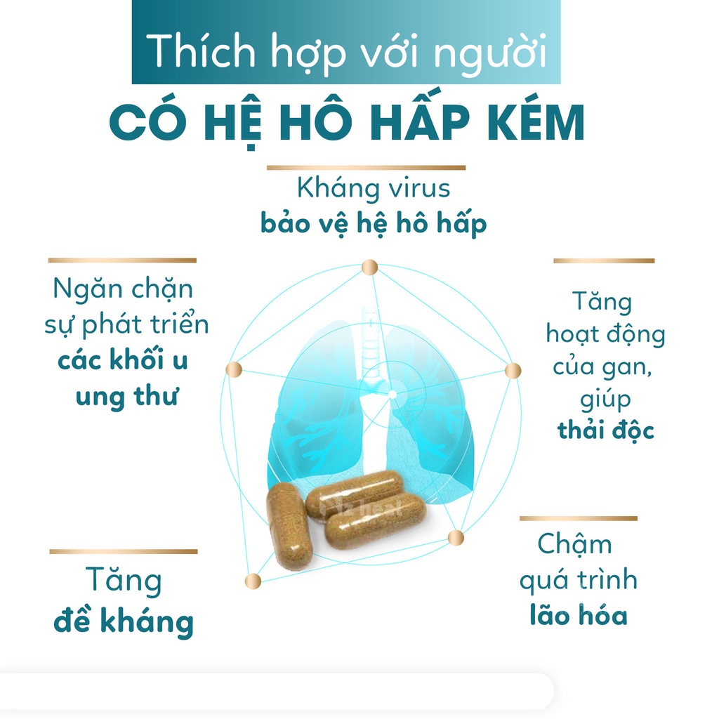 Viên Uống Bổ Phổi Xtend Life Lung Support Plus