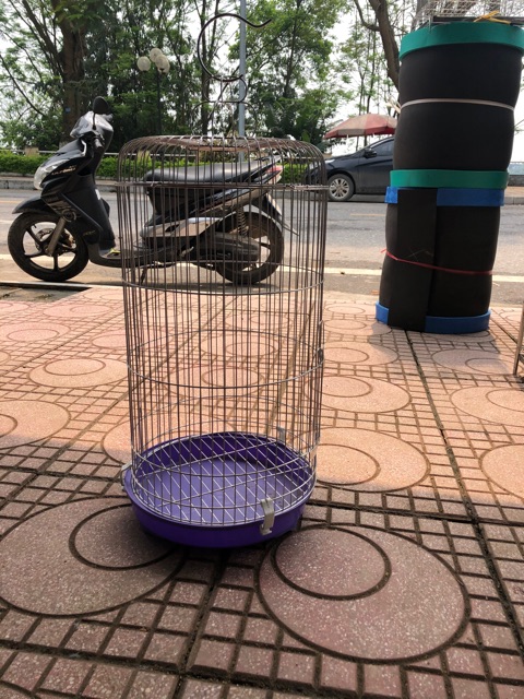 Lồng chim inox choè than chào mào 5 vanh