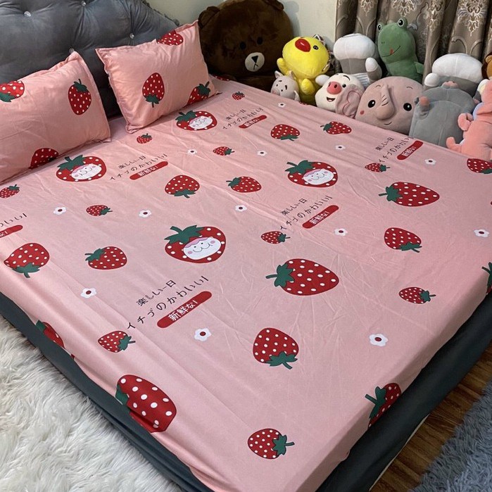 Bộ Ga Gối Poly Cotton Nhiều Mẫu Đẹp (nhiều mẫu mới chọn mẫu)