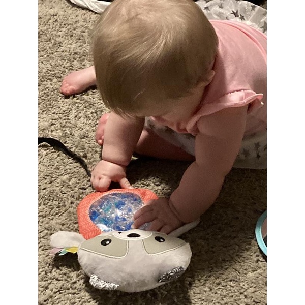 Đồ Chơi Cáo Cú Cầm Tay Bụng Nở - Seek &amp; Squish Sensory Pal