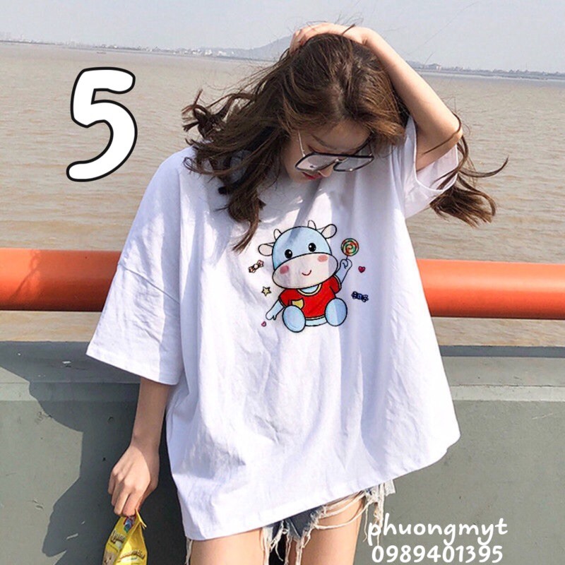 Áo phông 3D theo hình PM11