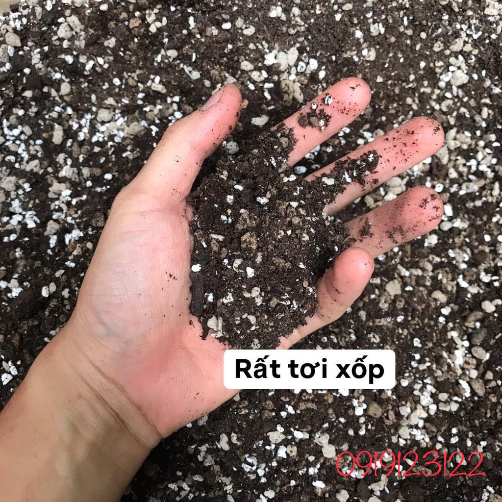 6kg Soil Mix Đất Trồng Sen Đá Xương Rồng Giá Thể trồng cây