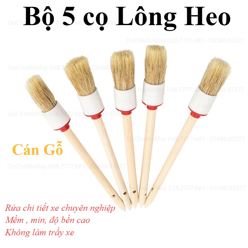 Bộ 5 cây cọ LÔNG HEO cán gỗ vệ sinh chi tiết dành cho oto xe máy rửa xe